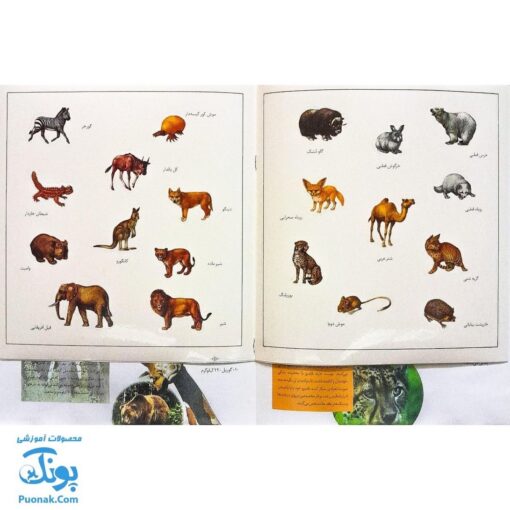 کتاب حیوانات وحشی بچسبان و بیاموز ۱۷ به همراه ۶۰ برچسب