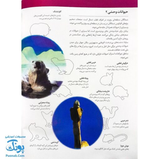 کتاب حیوانات وحشی بچسبان و بیاموز ۱۷ به همراه ۶۰ برچسب