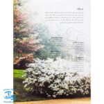 کتاب پرندگان آمریکای شمالی بچسبان و بیاموز ۱۸ به همراه ۶۰ برچسب