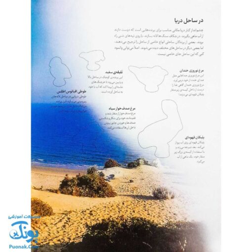 کتاب پرندگان آمریکای شمالی بچسبان و بیاموز ۱۸ به همراه ۶۰ برچسب