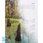 کتاب پرندگان آمریکای شمالی بچسبان و بیاموز ۱۸ به همراه ۶۰ برچسب