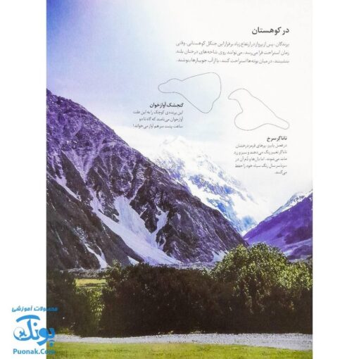 کتاب پرندگان آمریکای شمالی بچسبان و بیاموز ۱۸ به همراه ۶۰ برچسب