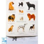 کتاب سگ ها بچسبان و بیاموز ۱۸ به همراه ۶۰ برچسب