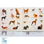 کتاب سگ ها بچسبان و بیاموز ۱۸ به همراه ۶۰ برچسب