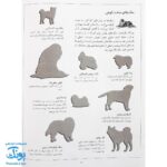 کتاب سگ ها بچسبان و بیاموز ۱۸ به همراه ۶۰ برچسب
