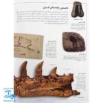کتاب دایناسورها از مجموعه شاهد عینی