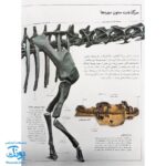 کتاب دایناسورها از مجموعه شاهد عینی