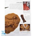 کتاب دایناسورها از مجموعه شاهد عینی