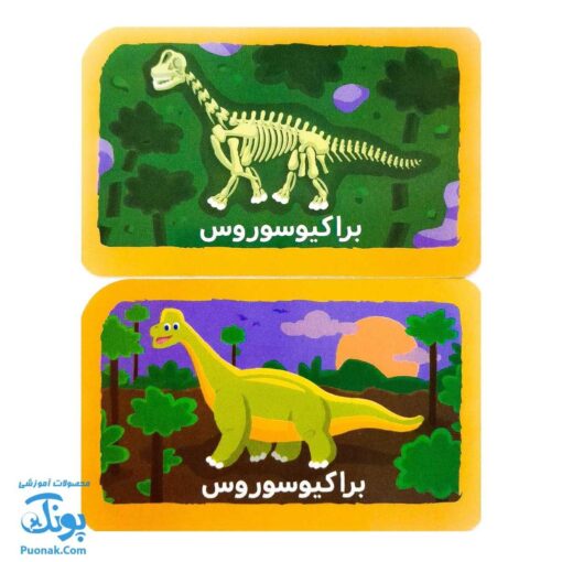 بازی فکری حافظه با دایناسورها (آشنایی و بازی با دایناسورها - ۴ سال به بالا - ۴۰ عدد کارت بازی) | نردبان