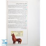 کتاب فرهنگ نامه ی تاریخ ایران