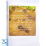 کتاب کارل و معنای زندگی