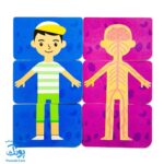 بازی کارتی من و بدنم (جورچین آموزش بدن انسان) نردبان