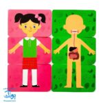بازی کارتی من و بدنم (جورچین آموزش بدن انسان) نردبان