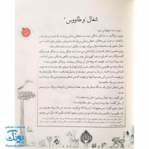 کتاب قصه ما مثل شد مجموعه ۱۰ جلدی - جلدهای ۱ تا ۱۰ رحلی