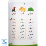 کتاب مهارت در خواندن اول ابتدایی صیانت