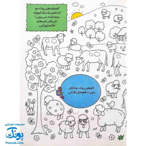 کتاب بگرد و پیدا کن مزرعه رنگارنگ من هوش و رنگ آمیزی
