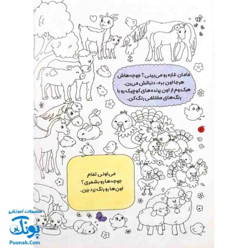 کتاب بگرد و پیدا کن مزرعه رنگارنگ من هوش و رنگ آمیزی