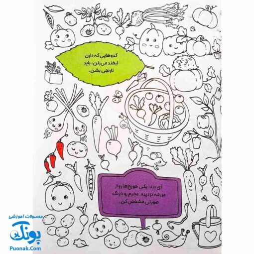 کتاب بگرد و پیدا کن مزرعه رنگارنگ من هوش و رنگ آمیزی