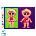 پازل آناتومی بدن انسان چوبی سایان ۱۸ قطعه