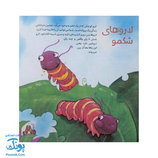 کتاب به دنبال پروانه ها دنیای شگفت انگیز پروانه ها و آفرینش آنها