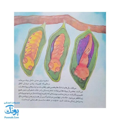 کتاب به دنبال پروانه ها دنیای شگفت انگیز پروانه ها و آفرینش آنها