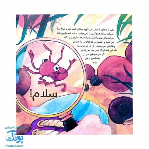 کتاب به دنبال مورچه ها دنیای شگفت انگیز مورچه ها و آفرینش آنها
