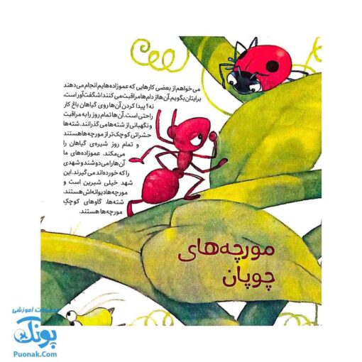 کتاب به دنبال مورچه ها دنیای شگفت انگیز مورچه ها و آفرینش آنها