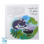 کتاب به دنبال عنکبوت ها دنیای شگفت انگیز عنکبوت ها و آفرینش آنها