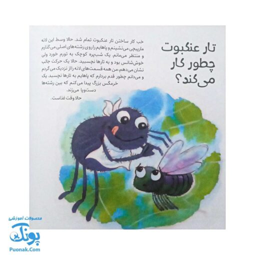 کتاب به دنبال عنکبوت ها دنیای شگفت انگیز عنکبوت ها و آفرینش آنها