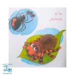 کتاب به دنبال عنکبوت ها دنیای شگفت انگیز عنکبوت ها و آفرینش آنها