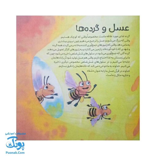 کتاب به دنبال زنبورهای عسل دنیای شگفت انگیز زنبورهای عسل و آفرینش آنها