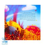 مجموعه در انتظار بهار ۹ آرزوی مترسک سبز