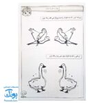 کتاب پیش دبستانی ها سلام مفاهیم ریاضی