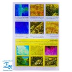 کتاب کارگاه نقاشی رنگ روغن سبک ها و روش ها