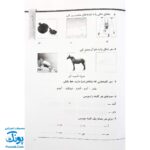 کتاب تلاش تابستانه اول به دوم - فعالیت‌های خلاق و متنوع