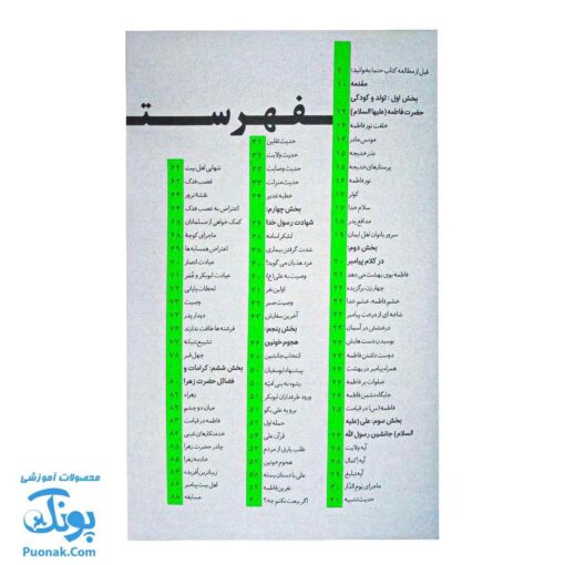 مقتل فاطمی نوجوان - زندگی‌نامه و حوادث منجر به شهادت حضرت فاطمه سلام الله