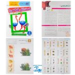 کتاب‌های کار کومن بنفش (بسته ۸ جلدی مهارت‌های تفکر برای کودکان ۴ تا ۶ ساله)
