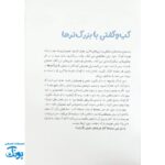 کتاب کارآگاهان کوچک معماهای بزرگ۲: تمرین‌های هوش و منطق
