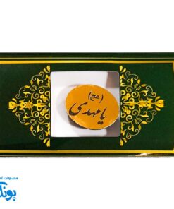 سنجاق سینه یا مهدی