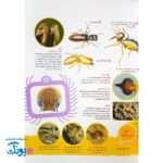 کتاب دانستنی های جانوران ایران و جهان: بی مهره ها