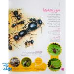 کتاب دانستنی های جانوران ایران و جهان: بی مهره ها