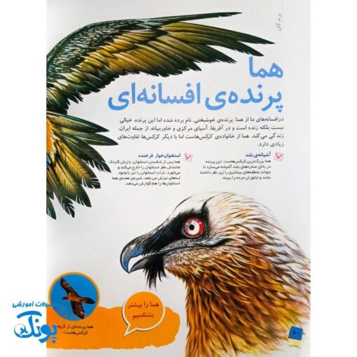 کتاب دانستنی های جانوران ایران و جهان: پرندگان