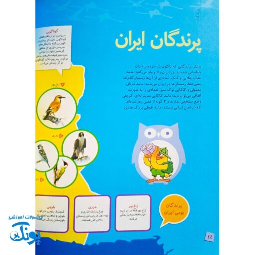کتاب دانستنی های جانوران ایران و جهان: پرندگان