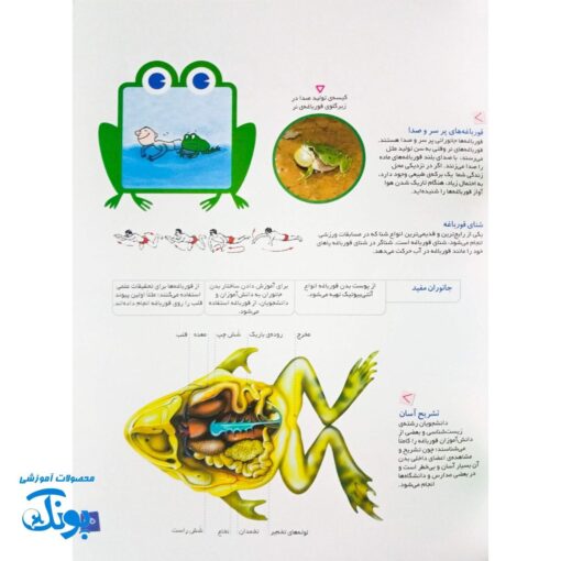 کتاب دانستنی های جانوران ایران و جهان دوزیستان