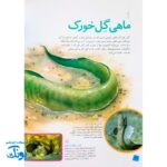 کتاب دانستنی های جانوران ایران و جهان ماهی ها