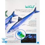 کتاب دانستنی های جانوران ایران و جهان ماهی ها