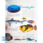 کتاب دانستنی های جانوران ایران و جهان ماهی ها