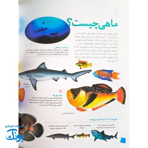 کتاب دانستنی های جانوران ایران و جهان ماهی ها