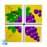 مکعب های مغناطیسی میوه ها