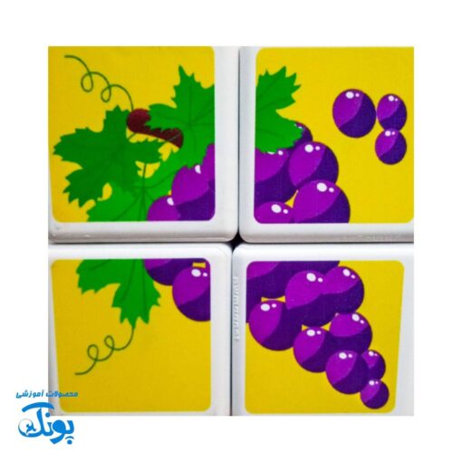 مکعب های مغناطیسی میوه ها